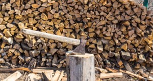 Brennholz zubereiten und stapeln - So machen Sie es richtig