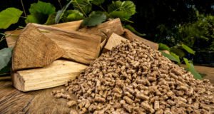 Pelletheizung: 5 Alternativen zu Holzpellets