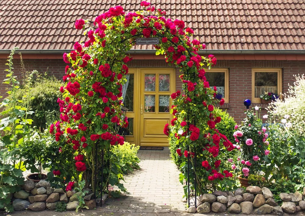 Rosenbogen bauen