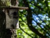 Vogelhaus aus Baumstamm Anleitung