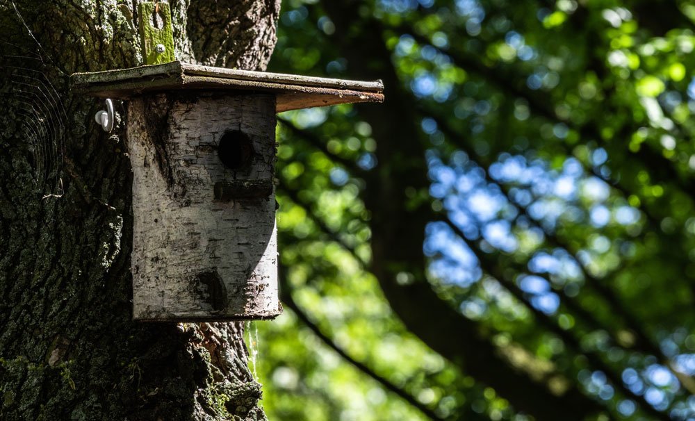 Vogelhaus aus Baumstamm Anleitung