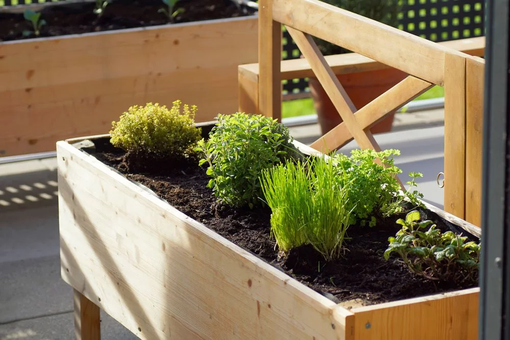 Hochbeet auf dem Balkon bepflanzt mit Kräutern