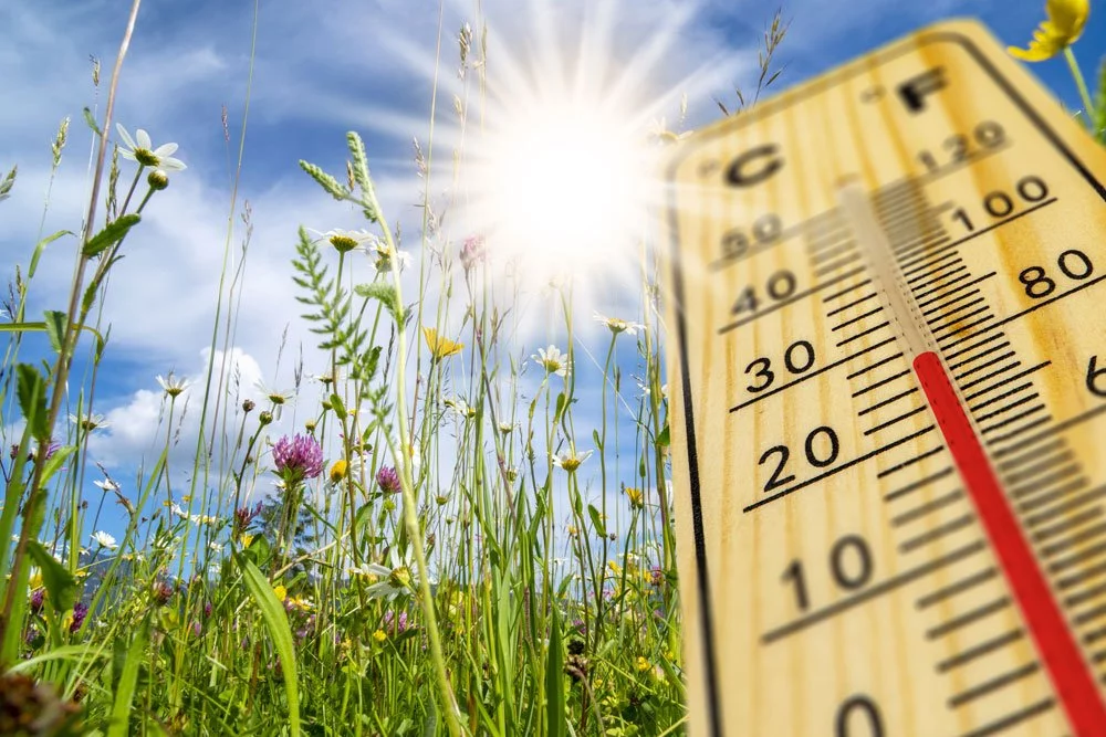 Haus vor Sonne schützen