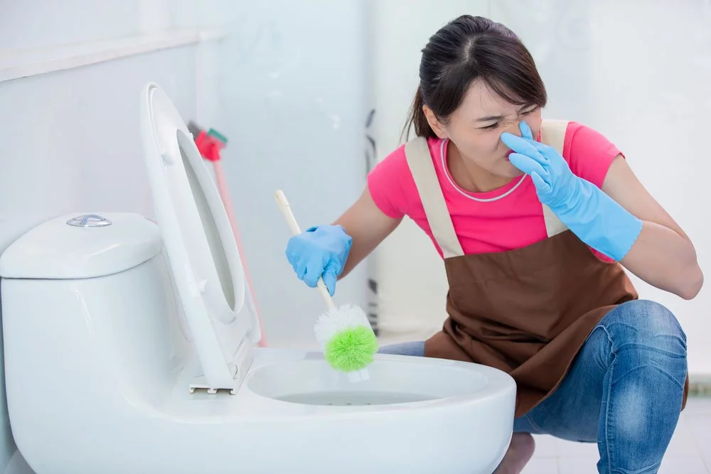 Toilette stinkt trotz Putzen