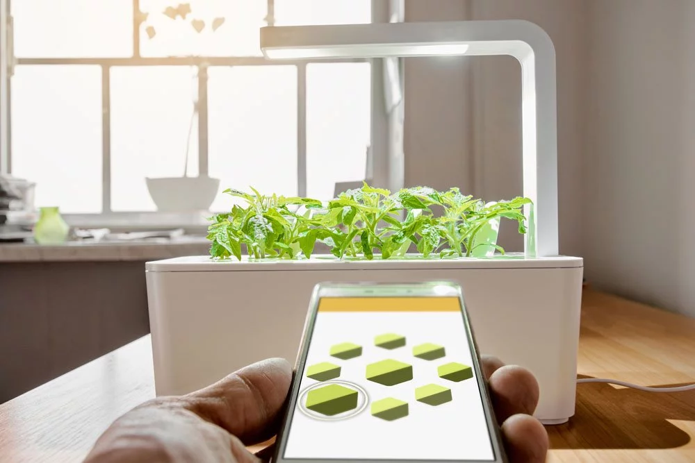 Elektrischer Indoor Garden