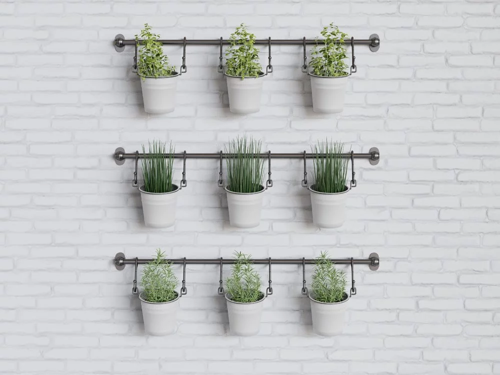 Indoor Gardening