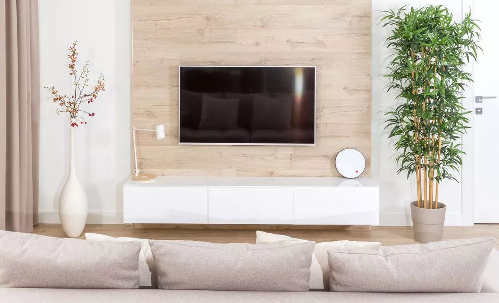Fernseher Wandmontage