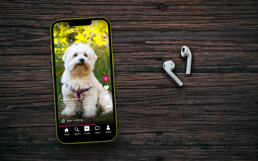 Social Media App mit einem Bild von einem Hund Wie Haustierbesitzer online zueinanderfinden