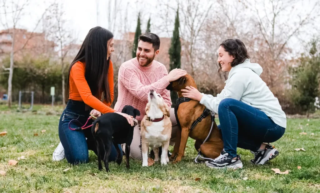 Hundehalter und ihre Tiere auf einer Wiese Wie Haustierbesitzer online zueinanderfinden